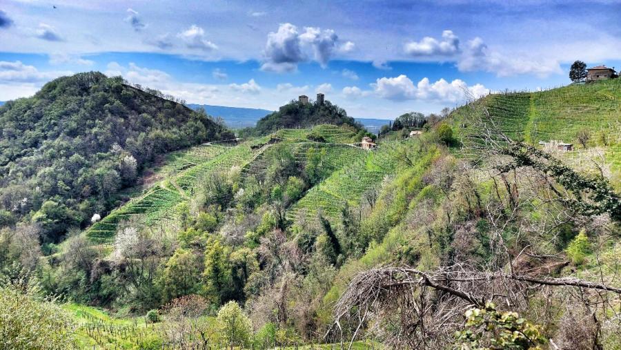 Agriturismo Al Credazzo Farra di Soligo Exterior foto